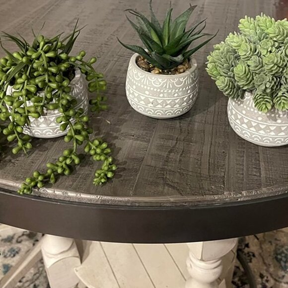 NEW 3 Pcs Assorted Small Potted Succulent Plants Artificial Aloe Hops String. - Picture 7 of 9